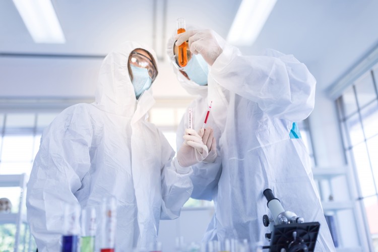 www.realclearpolitics.com