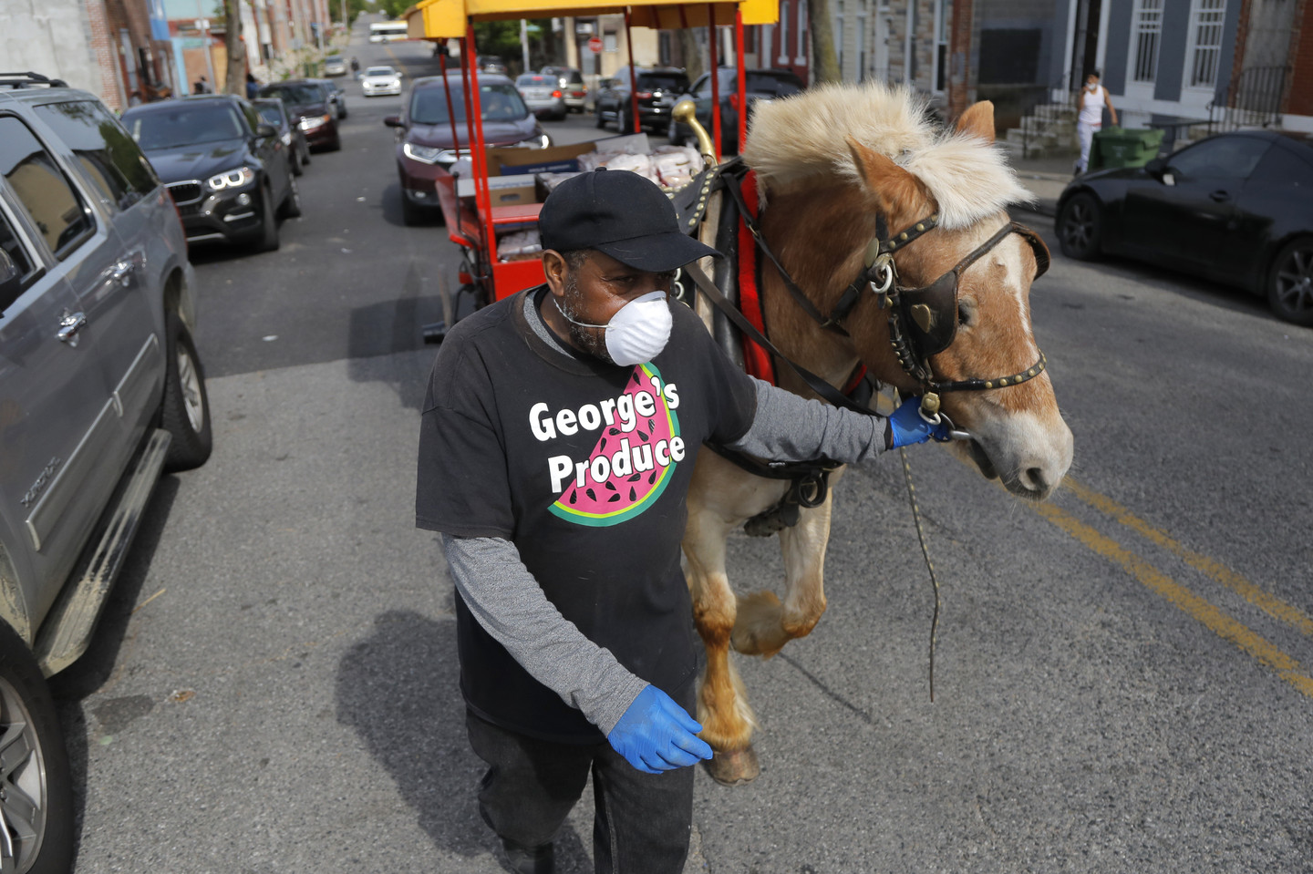 Where and When Did Humans Domesticate Horses? RealClearScience