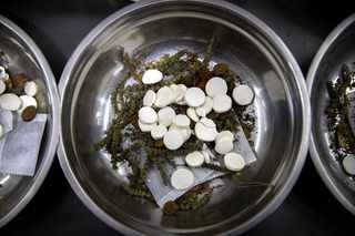 The Worst Alternative 'Medicine'