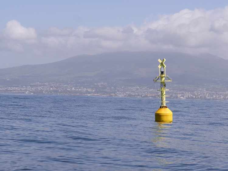 In First, Scientists Observe Creation of New Seafloor