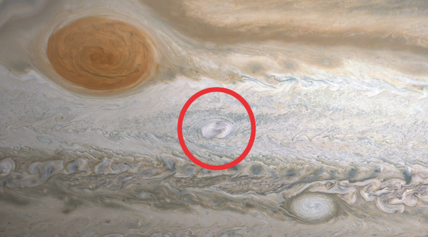 Jupiter Just Sprouted a Brand New Spot | RealClearScience