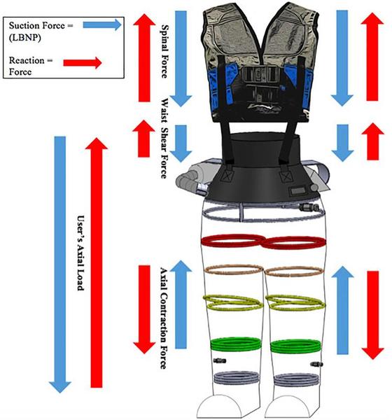 Compression Suit For Astronauts