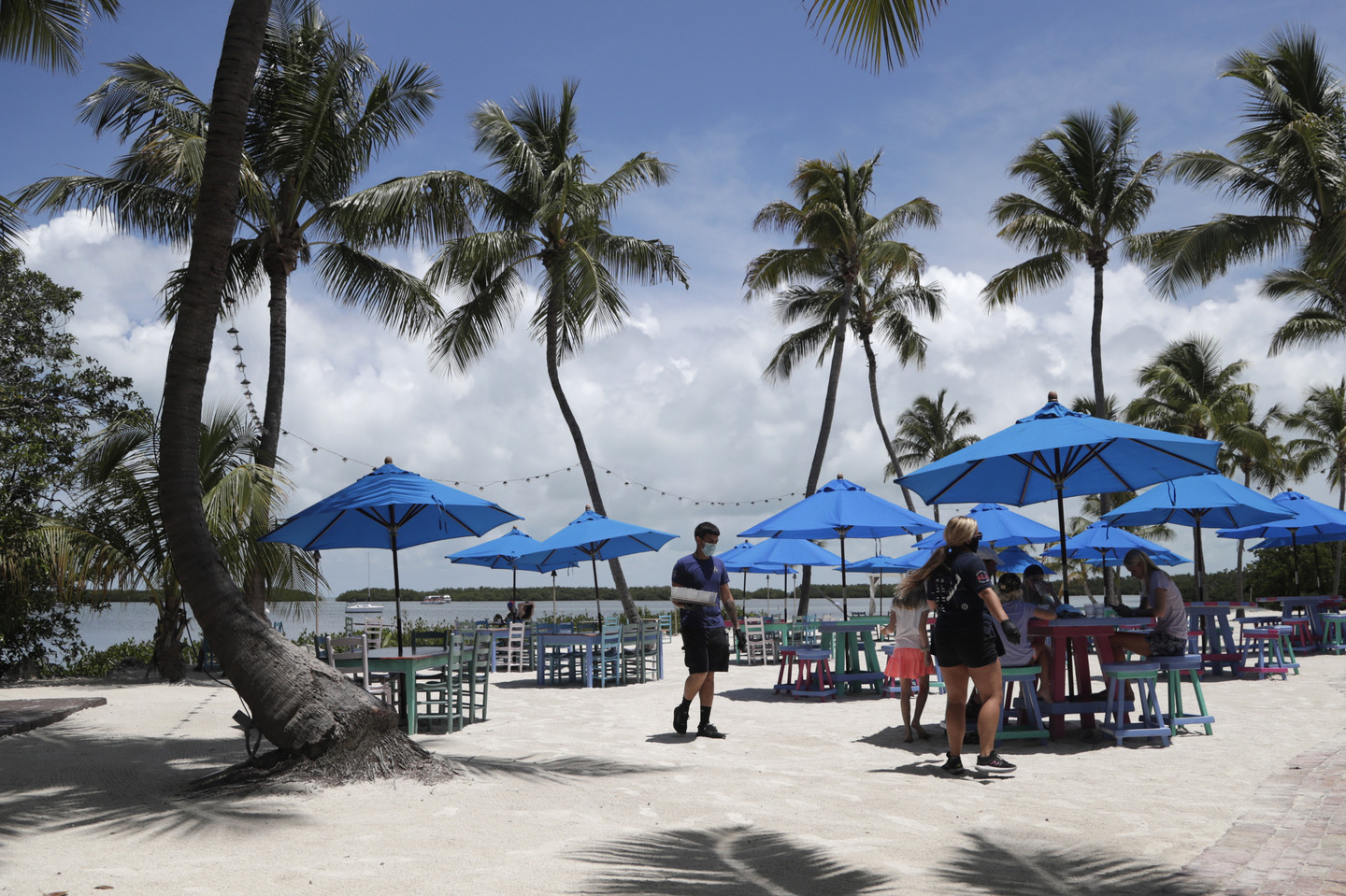 750 Million GM Mosquitoes to Be Released in Florida Keys RealClearScience