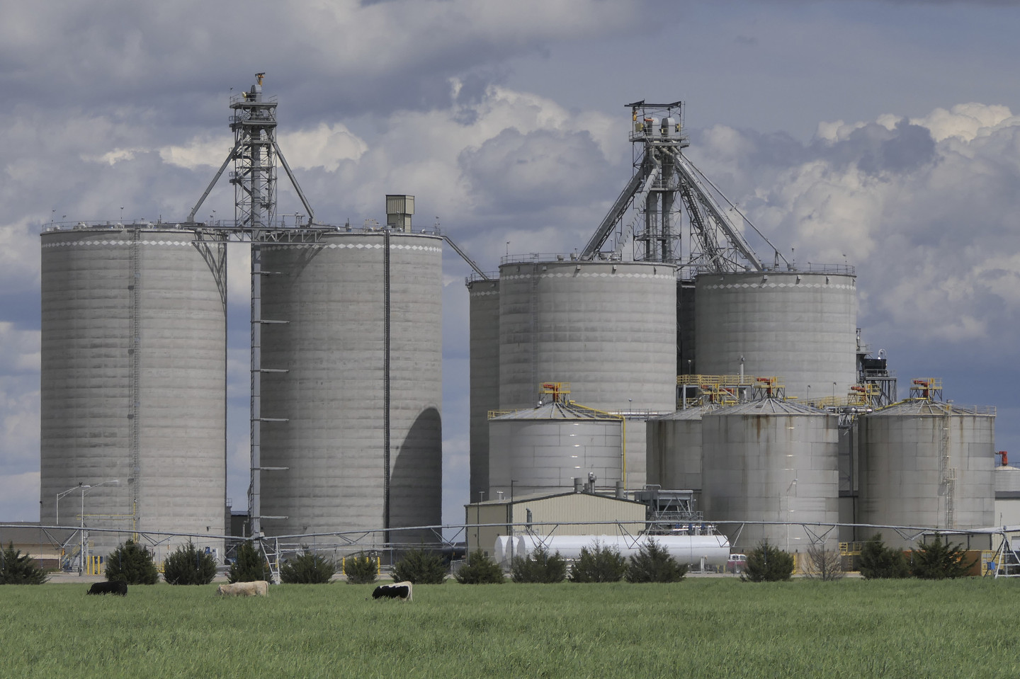Corn Ethanol Seems to Be a Failure, But We're Probably Stuck With It