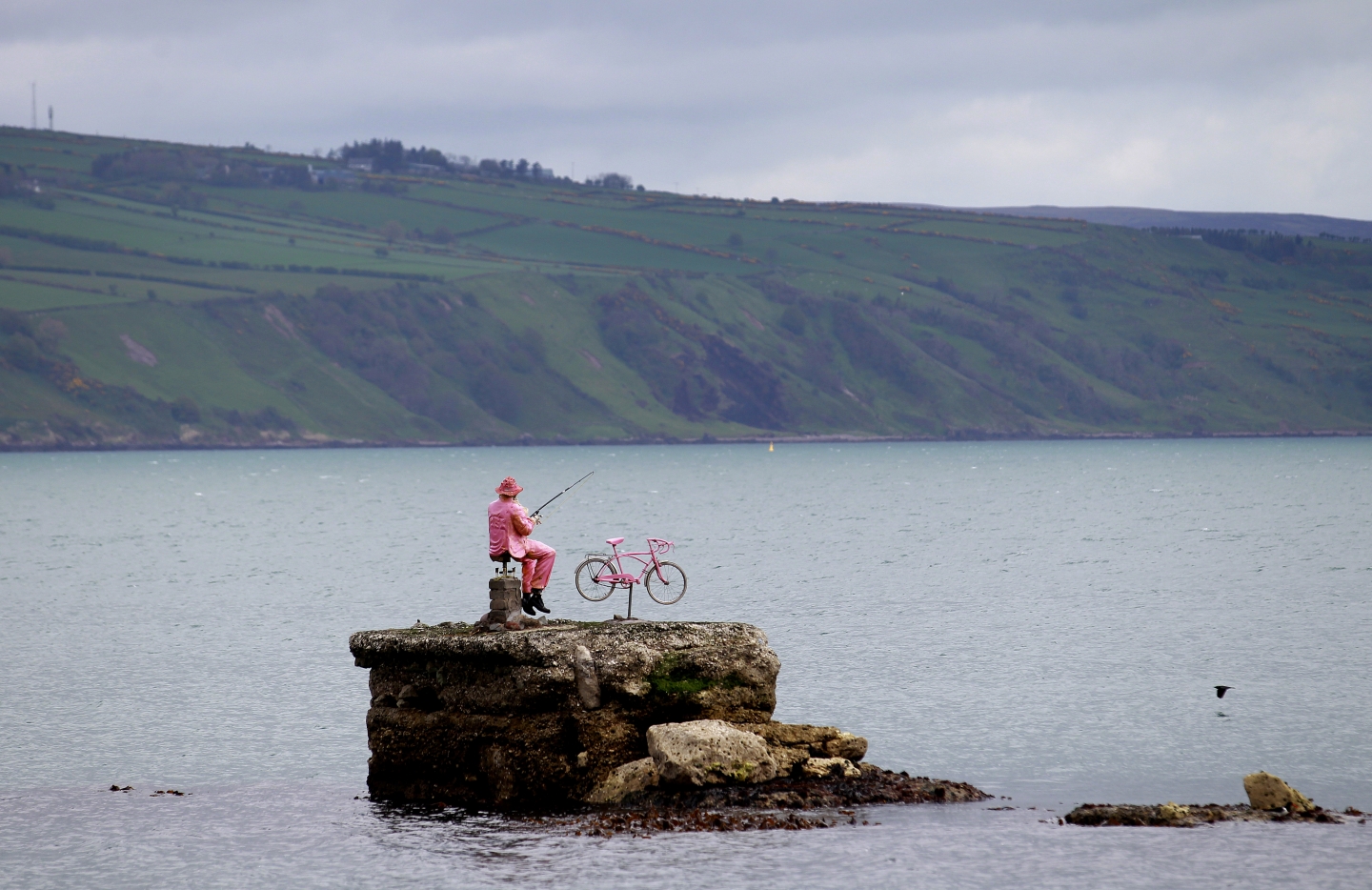 Ireland's FirstEver Dinosaur Fossils Confirmed RealClearScience