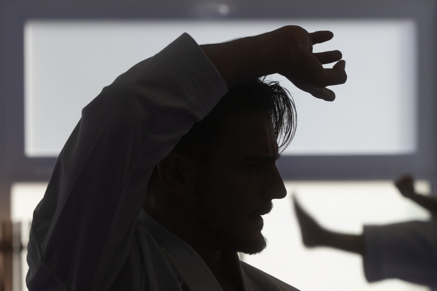 How Do Martial Artists Break Wood and Concrete? RealClearScience