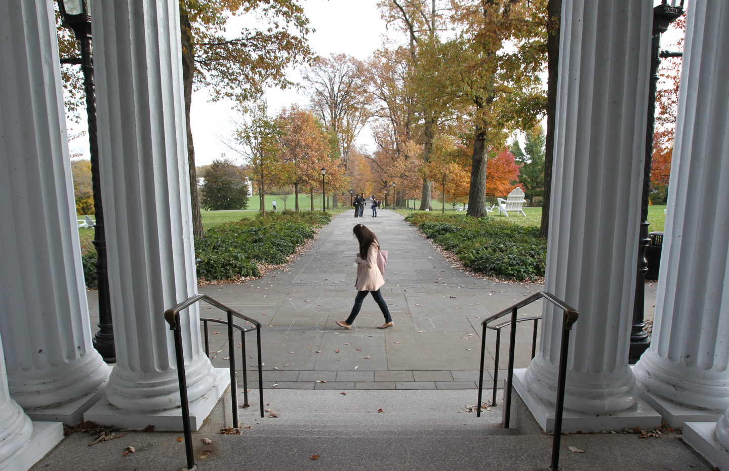 Now Democrats Are Losing Confidence in Higher Ed, Too