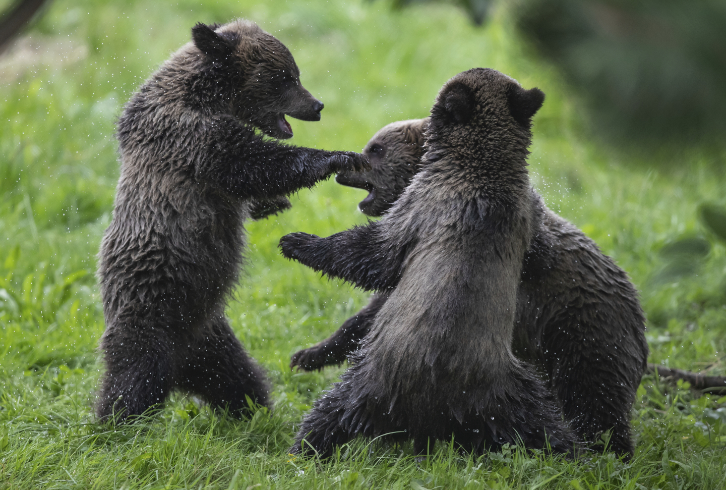 Why You Need To Experience Bear Markets