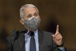 The Perpetual Pandemic