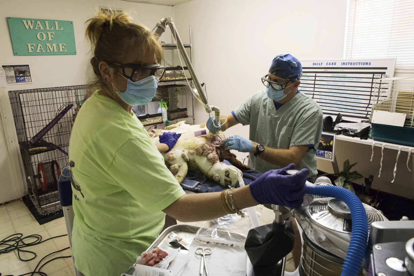 Anesthesia Works By Changing The Brain s Rhythms RealClearScience Anesthesia Works By Changing The Brain s Rhythms RealClearScience