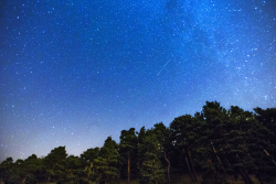 It's Not Just You: The Perseids Really Are Getting Weaker