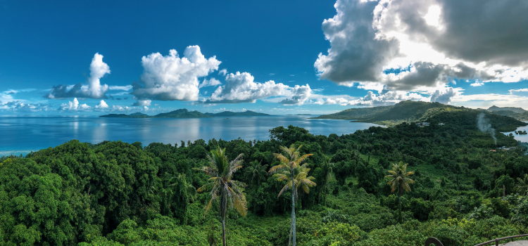 Pacific Islanders Appear to Have Most Ancient Human DNA On Earth