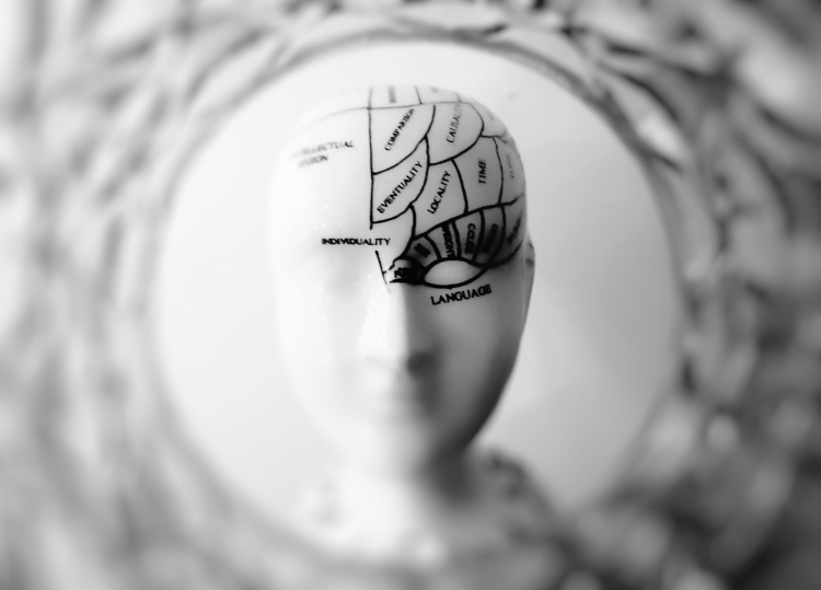Right Side of Brain Shows More Signs of Aging Than Left
