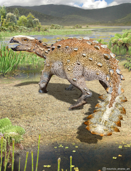 Birds' Skulls May Hold Clues to Inner Lives of Dinosaurs