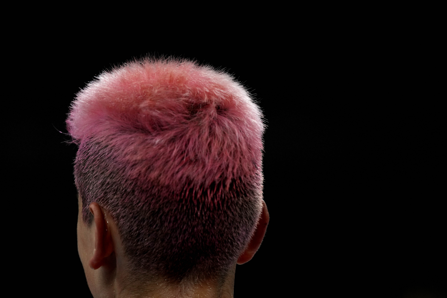 LabGrown Hair Cells Could Be on the Way RealClearScience