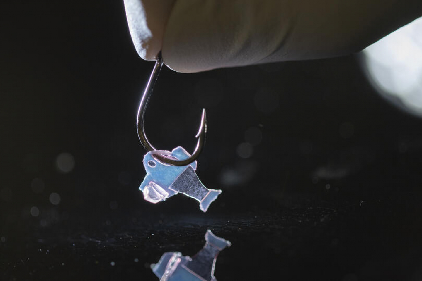 biohybrid-fish-made-from-human-cardiac-cells-realclearscience