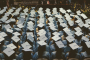 Higher Education Is Not Altruistic. It's Business