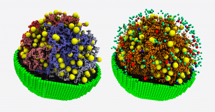Loss of Cell Identity Drives Human Aging
