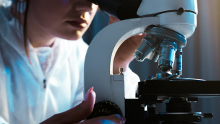 Saudis Move to Invest in Pharmaceuticals