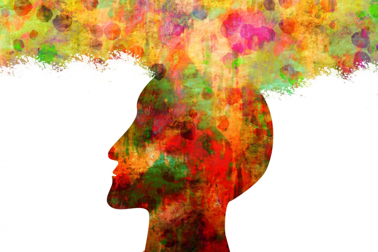 Consciousness Can't Be Uploaded
