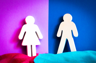 Research Finds No Gender Bias in Academic Science