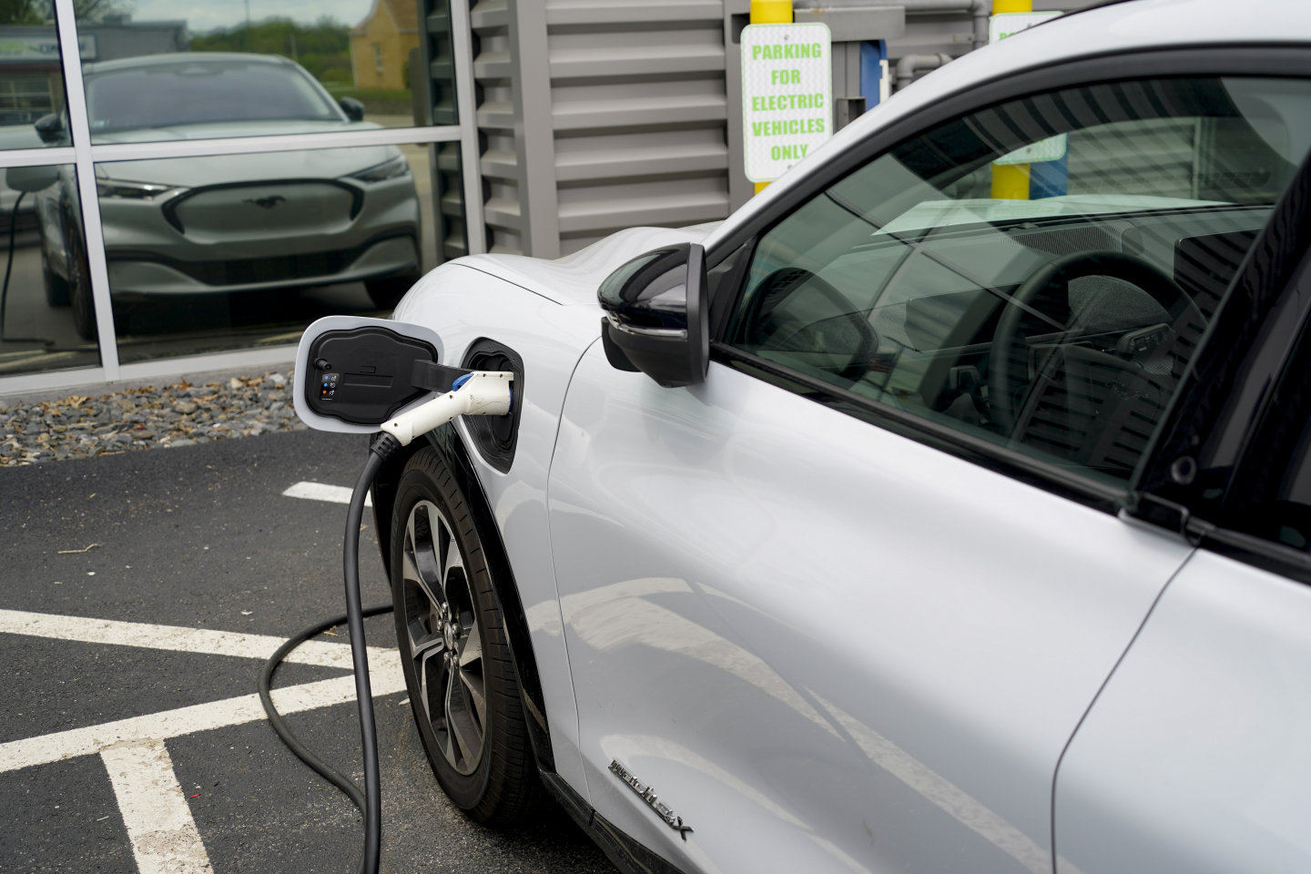 Forget Electric Cars Kew Gardens Shows Plants Are The Real Answer - z2mwyb3