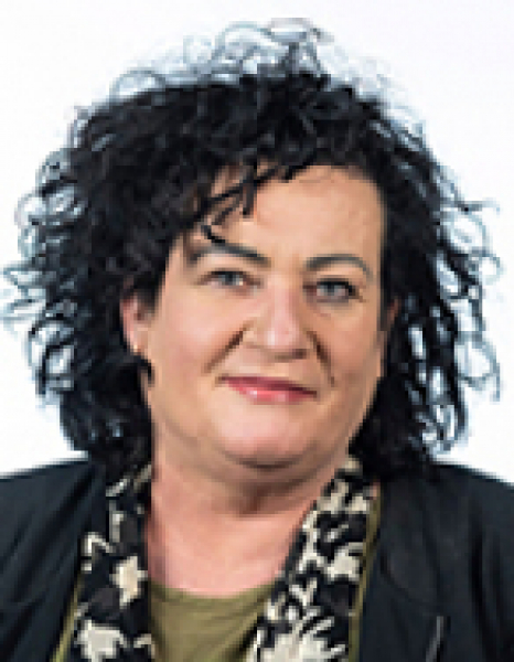 Caroline van der Plas Tweede Kamer Der Staten-Generaal