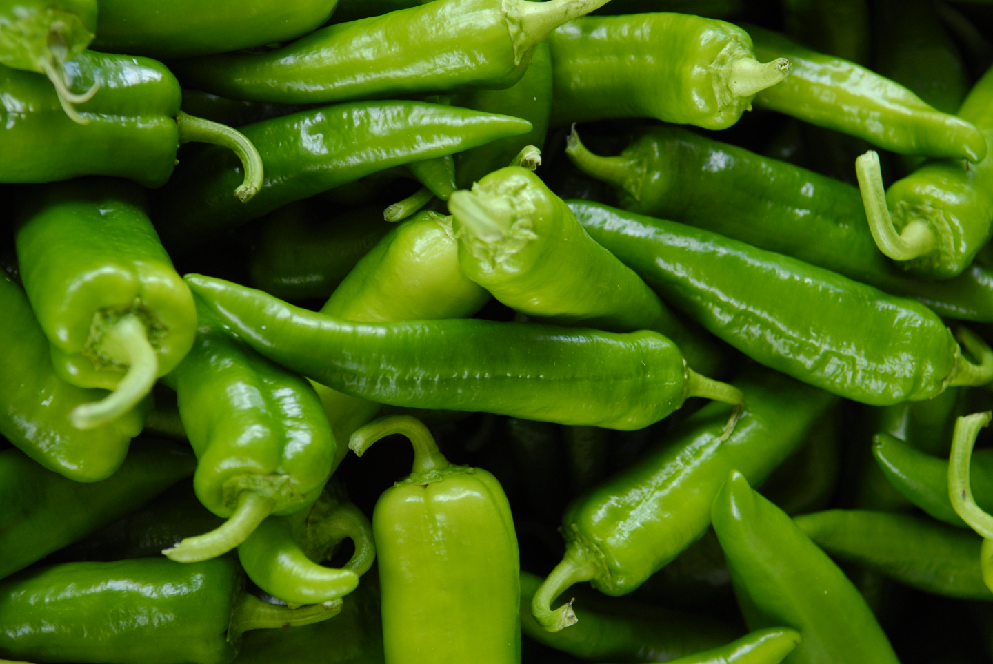 Do Some Foods Fill You Up For Longer RealClearScience