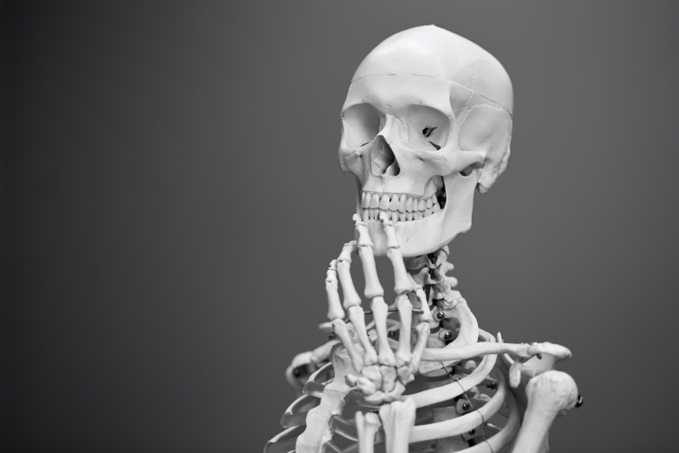 'Nanobone' Could Help the Body Regrow Bone