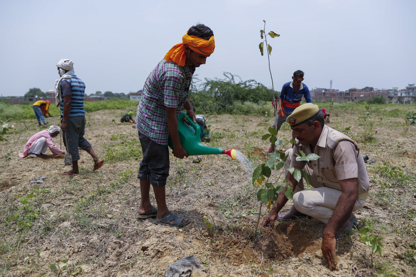 When Planting a Tree Can Actually Fuel Global Warming RealClearScience