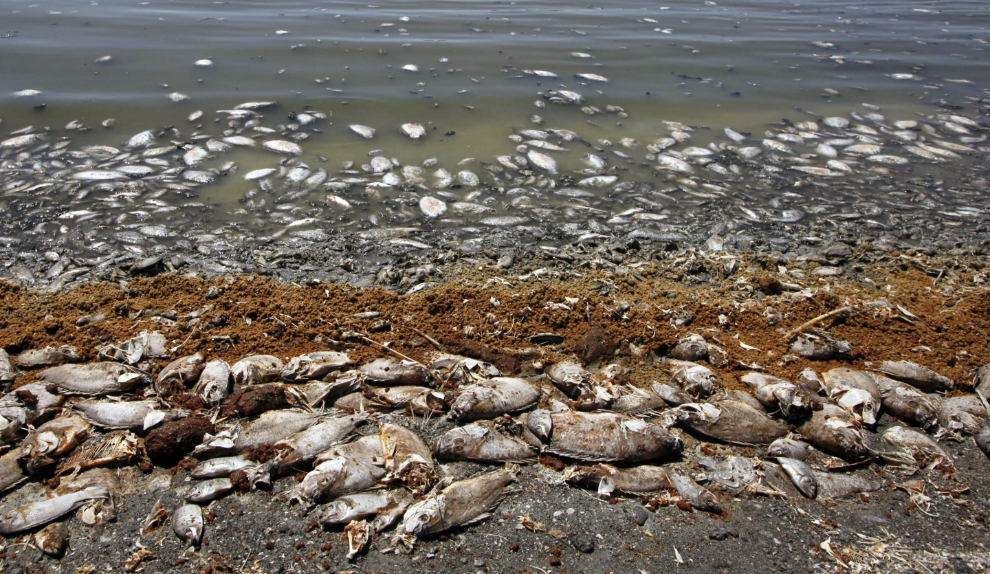 Why the Salton Sea Is Turning Into Toxic Dust RealClearScience