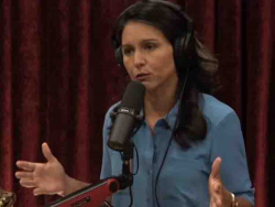Tulsi Gabbard: 