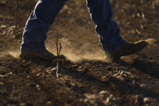 To Make Farm Bill Effective, Remove All the Excess