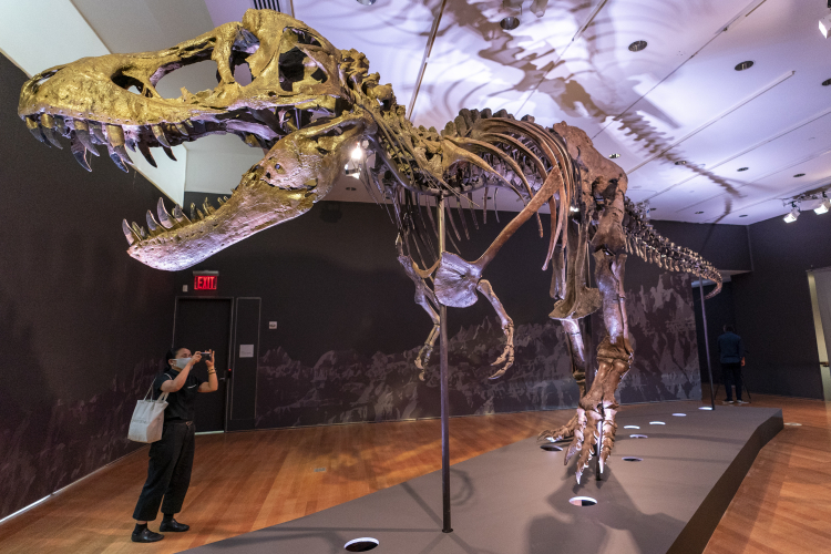 What Did T. rex's Breath Smell Like?