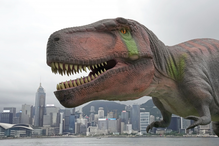 Scientists Have an Explanation for T. Rex's Tiny Arms