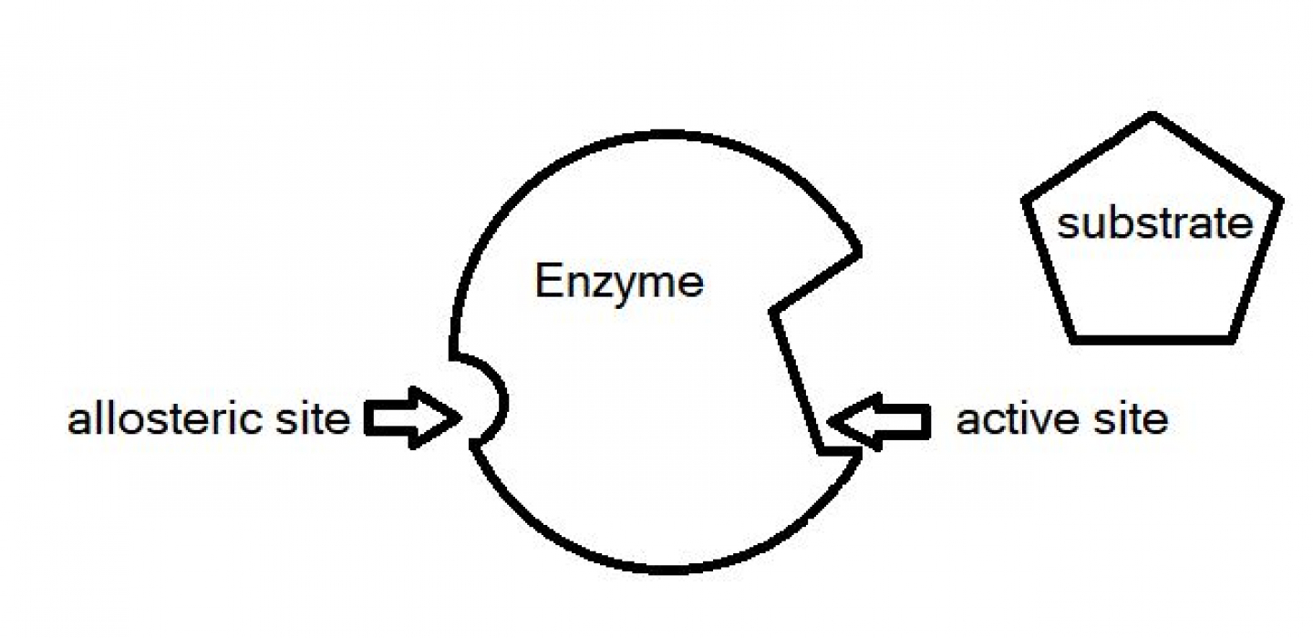 The Shocking Truth About Enzyme Names - gpz02gm