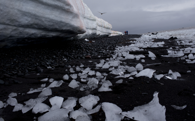 Antarctic Ice Decline Triggering Global Ocean Changes