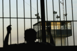 Captured Drug Lords Choose: Snitch or Suffer
