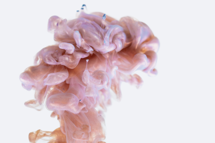 The 'Inflammatory Hangover' and the Aging Brain