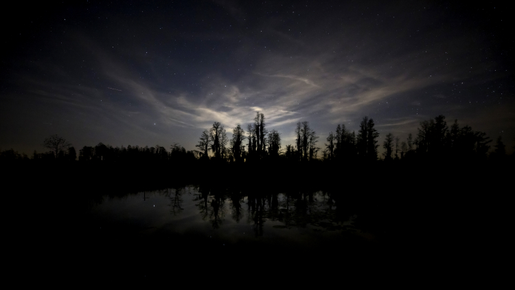 What We Lose When We Lose the Night Sky