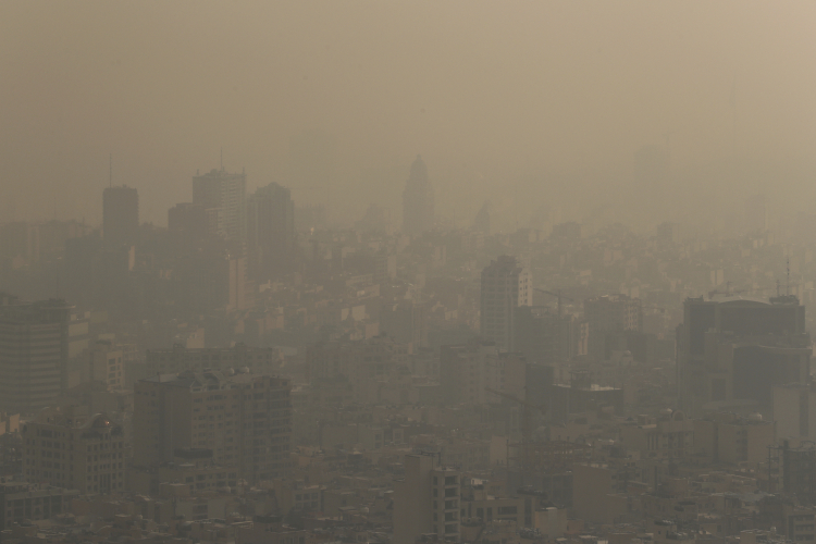Air Pollution Exposure in Womb Linked to Worse Cognitive Abilities