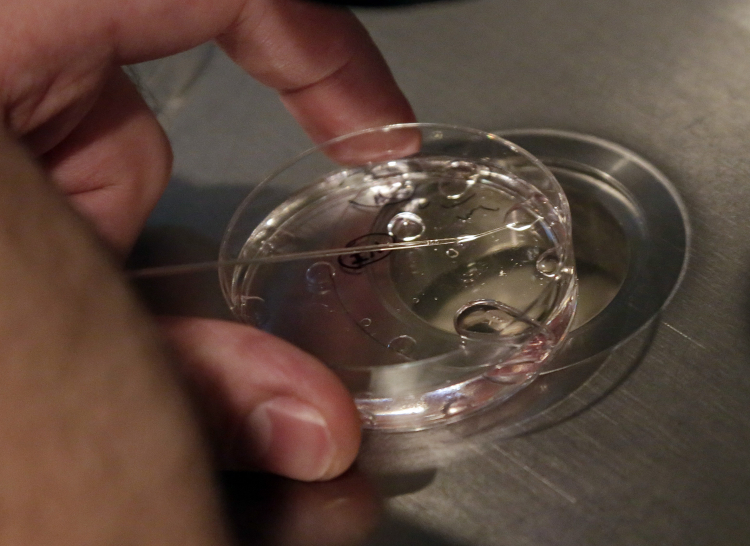 Gene Editing Human Embryos Is Not Currently Safe