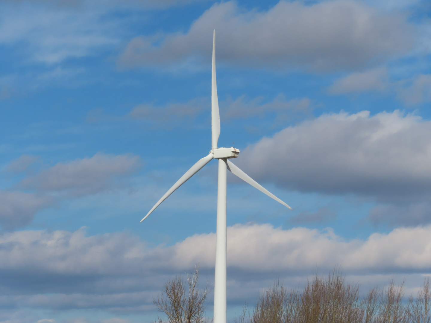 The Economic Cost Of Trump's Clean Energy Rollbacks