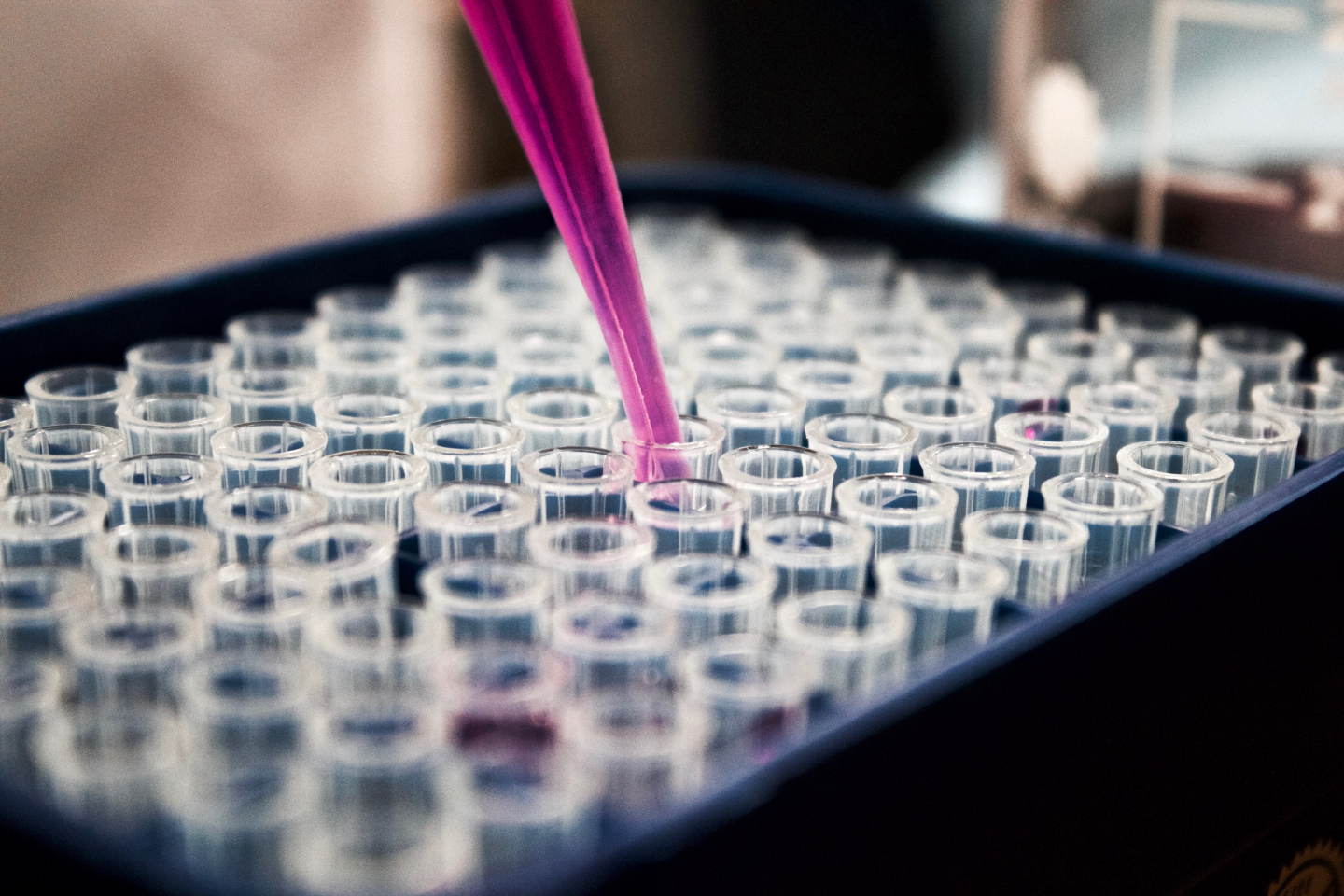 America's Next 250 Years Depend on Strong Patent Protections