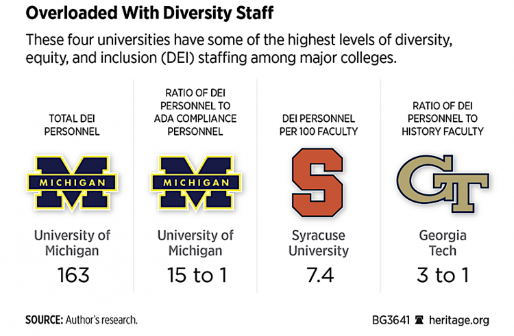 Caption Diversity University: DEI Bloat in the Academy