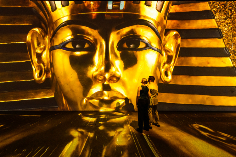King Tut and the Illusion of Murder