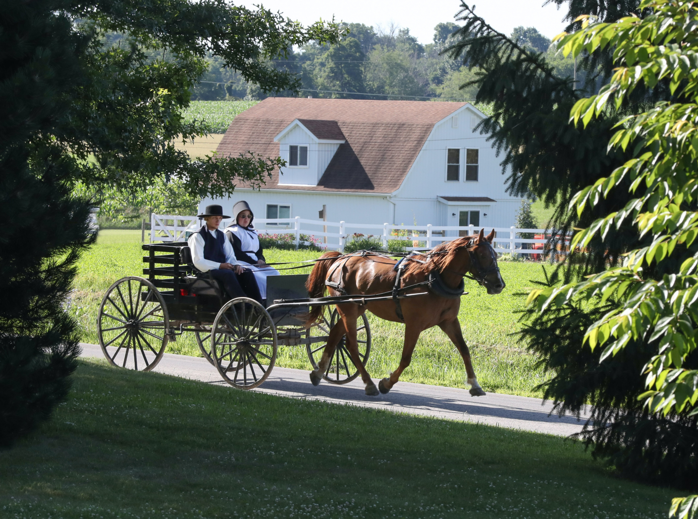 Flawed COVID Study Tried to Discredit the Amish