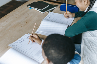 Solving the K-12 Civics Crisis