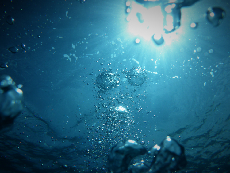 Earth's Oceans Are Losing Oxygen. What Could Happen?