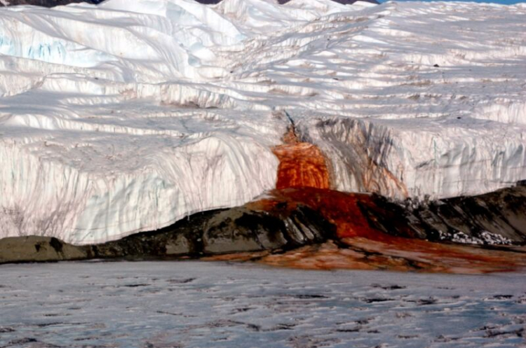'Blood Falls' Teems With Mysterious Microbial Life